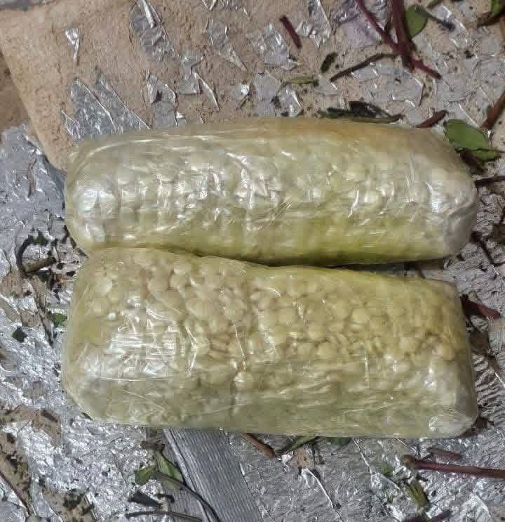 كتيبة أمن منفذ الوديعة تُحبط تهريب آلاف الحبوب المخدرة 