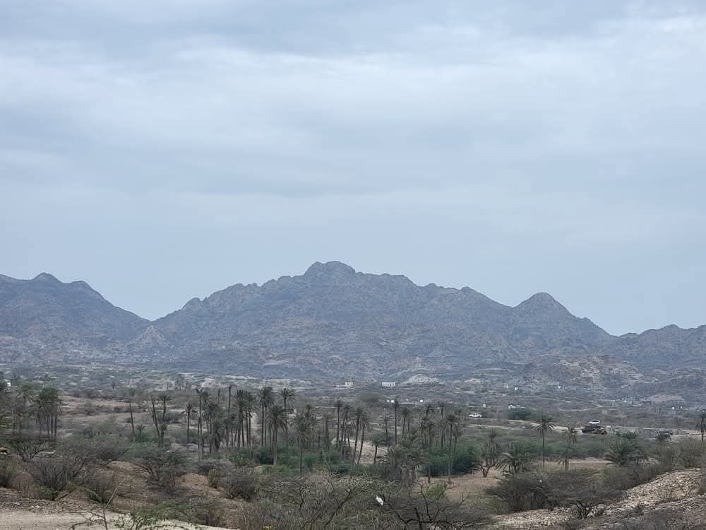 تقرير حقوقي يرصد انتهاكات جسيمة بحق المدنيين في قرى الوازعية غرب تعز