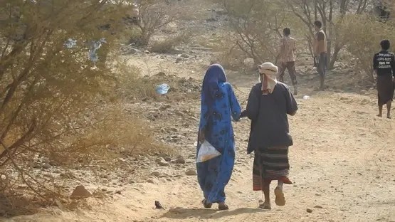 “دروع بشرية في حديقة الموت”.. انتهاكات الحوثيين في الحديدة