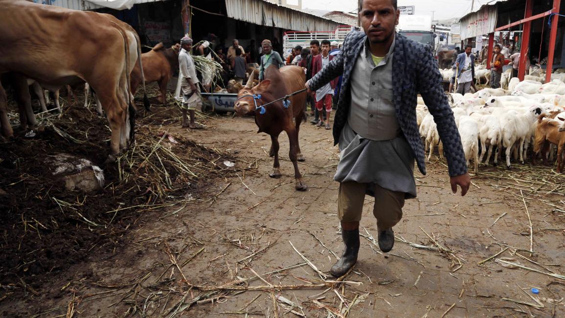 بقيمة 100 مليون دولار.. الحكومة تكشف عن توصلها لاتفاق مع البنك الدولي لدعم الألبان في اليمن